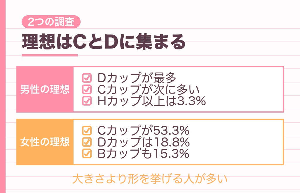 男性が好みと答える胸の大きさはどれくらい？